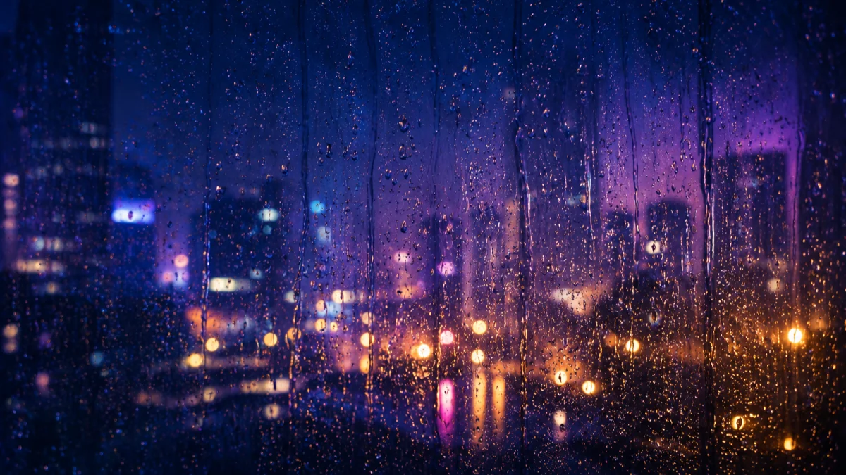 雨の夢